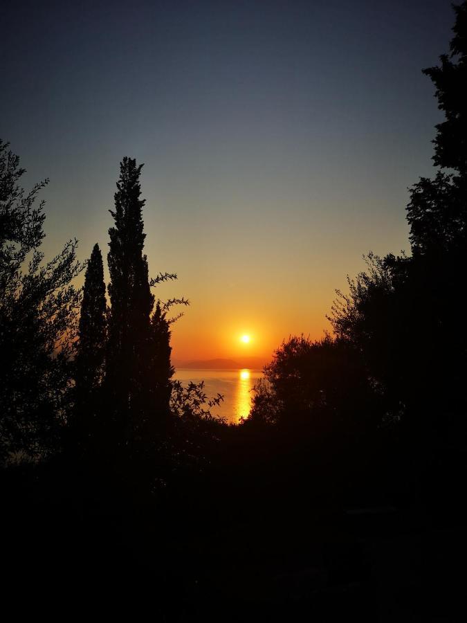 Nikoli Apartments Benitses (Corfu) Exterior foto